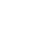 Logo Style