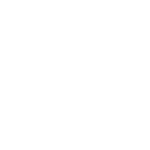 Muscle