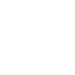 Wahl
